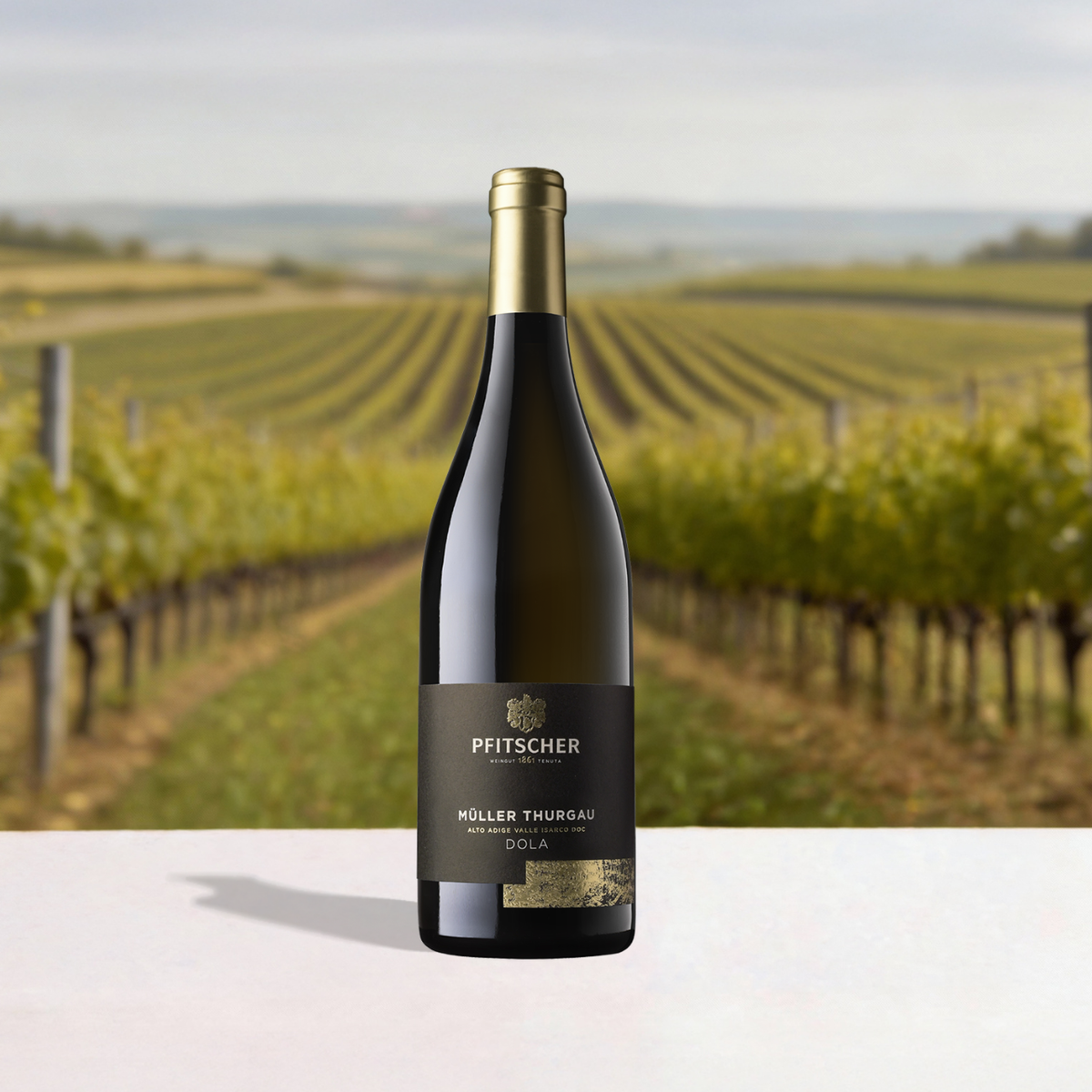 Müller Thurgau "Dola"